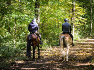 Horseback Riding